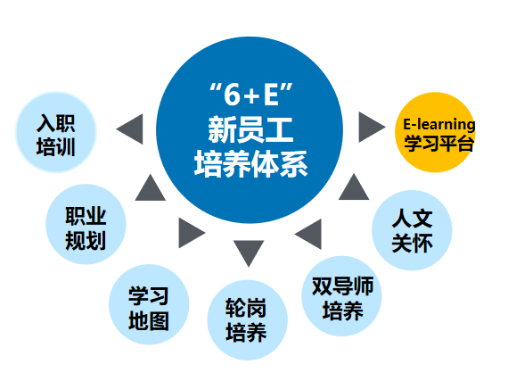 6+E.png 6+E.png